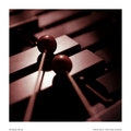 Mallets - drums photo