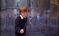 Dumbledore's Army - dumbledores-army photo