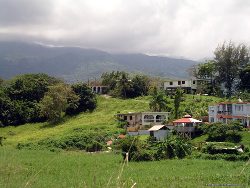  Dwellings Near El Yunque