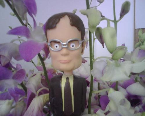  Dwight in the garden