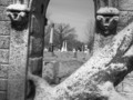 Elmwood Cemetery - cemeteries-and-graveyards photo