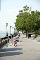 Esplanade in Battery Park City - new-york photo