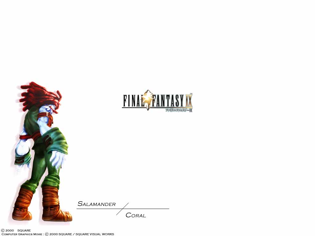 Final Fantasy IX - Picture Colection