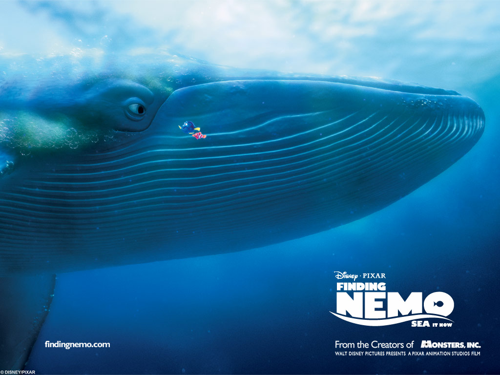 Finding Nemo Pixar Wallpaper 67274 Fanpop