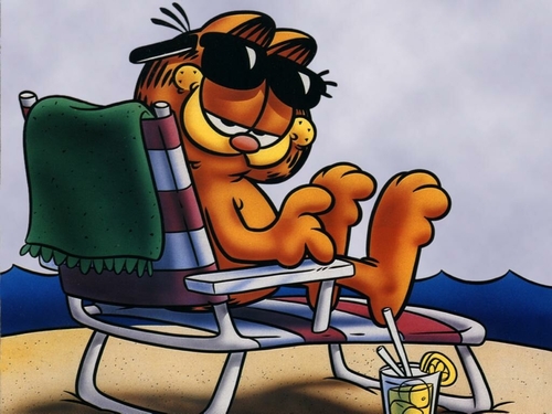  Garfield - spiaggia