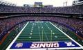 Giants Stadium [1976-Present] - new-york-giants photo