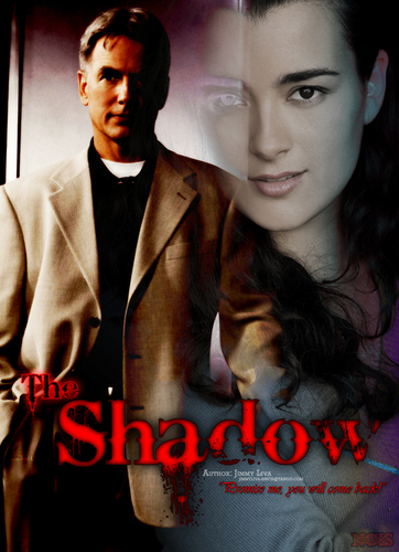  Gibbs and Ziva in The Shadow