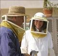 Grissom, Sara and the Bees - csi photo