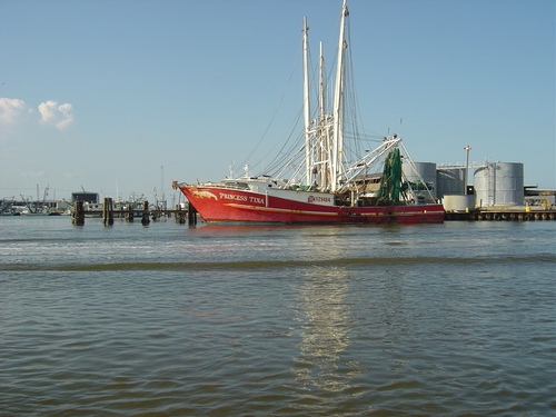  Gulf Fishing