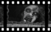 HORROR - horror-movies icon