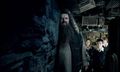 Hagrid with Trio - harry-potter photo