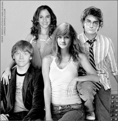  Harry, Ron, Hermione & Ginny