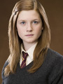 Harry Potter - Year Five - harry-potter photo
