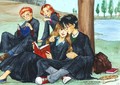 Harryxhermione - hermione-grangers-men fan art