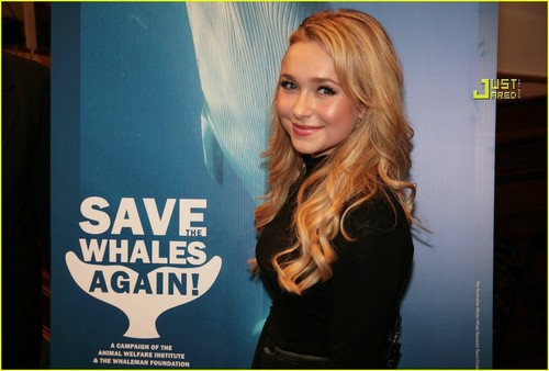 Hayden Saving the Whales