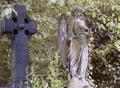 Highgate Cemetery East - cemeteries-and-graveyards photo