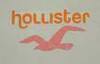  Hollister logo!