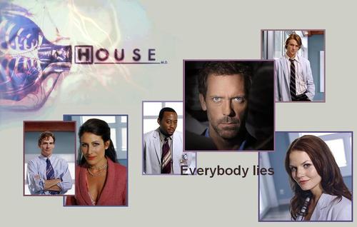  House - everybody lies