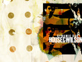 house-md - House//Wilson wallpaper