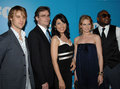 House Cast - Excluding Hugh - house-md photo