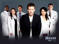 house-md - House Cast wallpaper