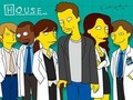 House md - house-md photo