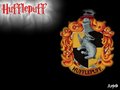 hufflepuff - Hufflepuff wallpaper