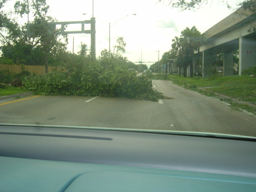  Hurricane Wilma (2005)