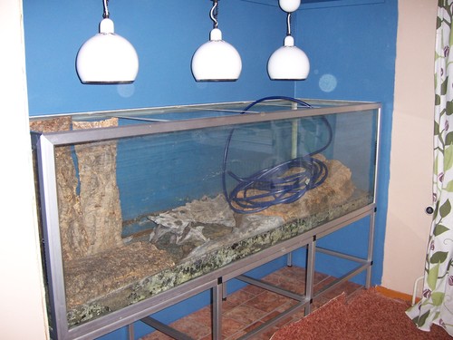 Installing a Wall Aquarium