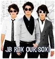 JB roxs our sox - the-jonas-brothers photo