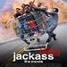 Jackass - movies icon