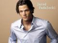 Jared Padalecki - hottest-actors photo