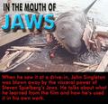 Jaws - jaws photo