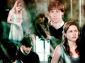 Jim and Pam - tv-couples wallpaper