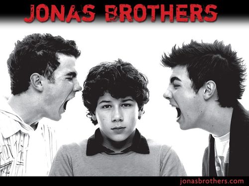  Jonas Bros