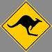 Kangaroo Crossing Sign - australia icon