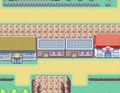 Kanto Towns - pokemon photo