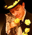 Kitty and Colbert - stephen-colbert photo