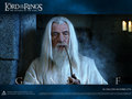 lord-of-the-rings - Gandalf - LOTR Wallpaper wallpaper