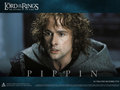 lord-of-the-rings - Pippin - LOTR Wallpaper wallpaper