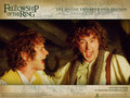 lord-of-the-rings - Merry & Pippin - LOTR Wallpaper wallpaper
