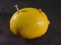 Lemons - lemons photo
