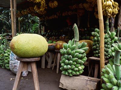 fruits of philippines