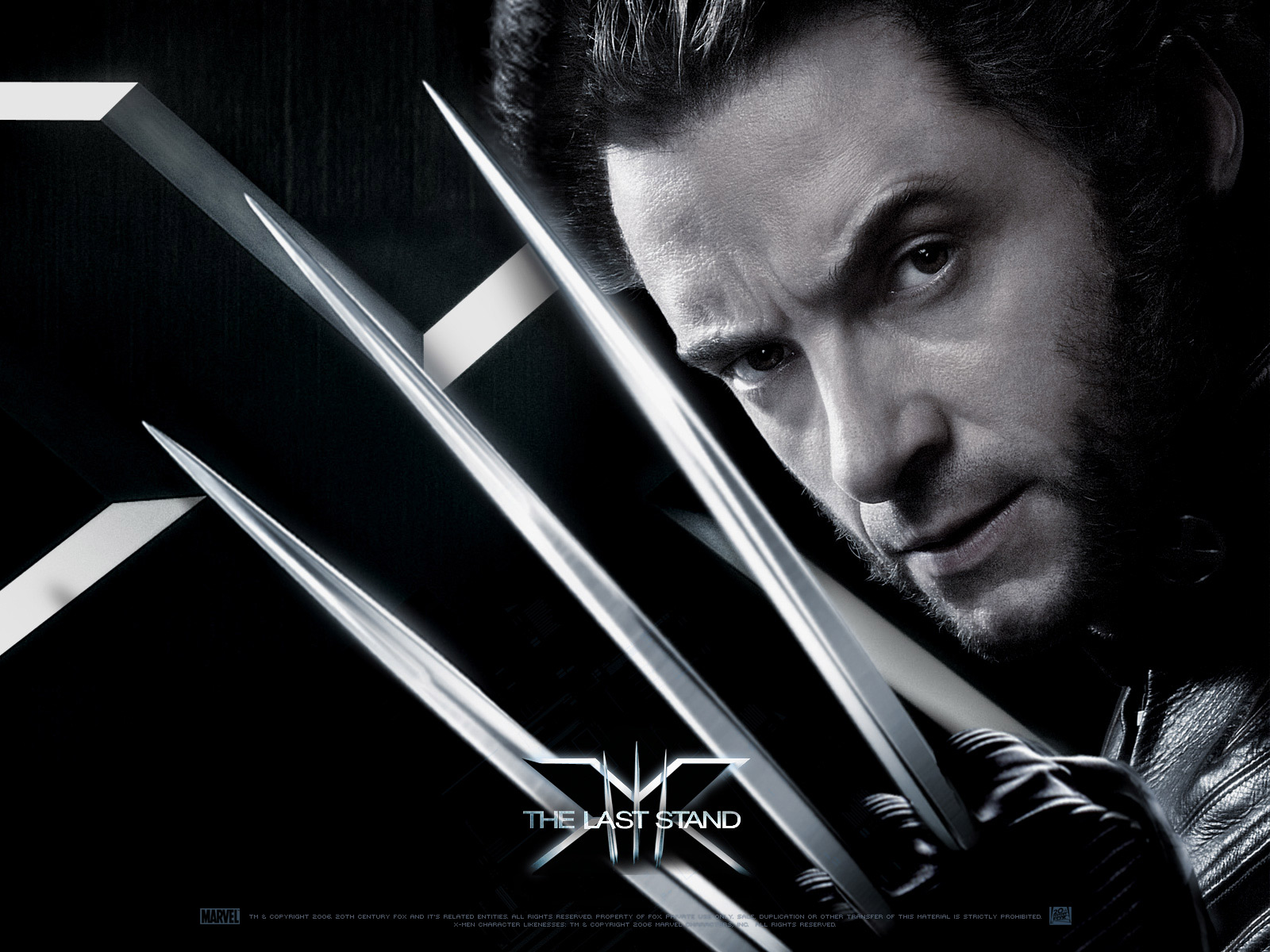 Wolverine - Picture