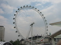 London Eye - london photo