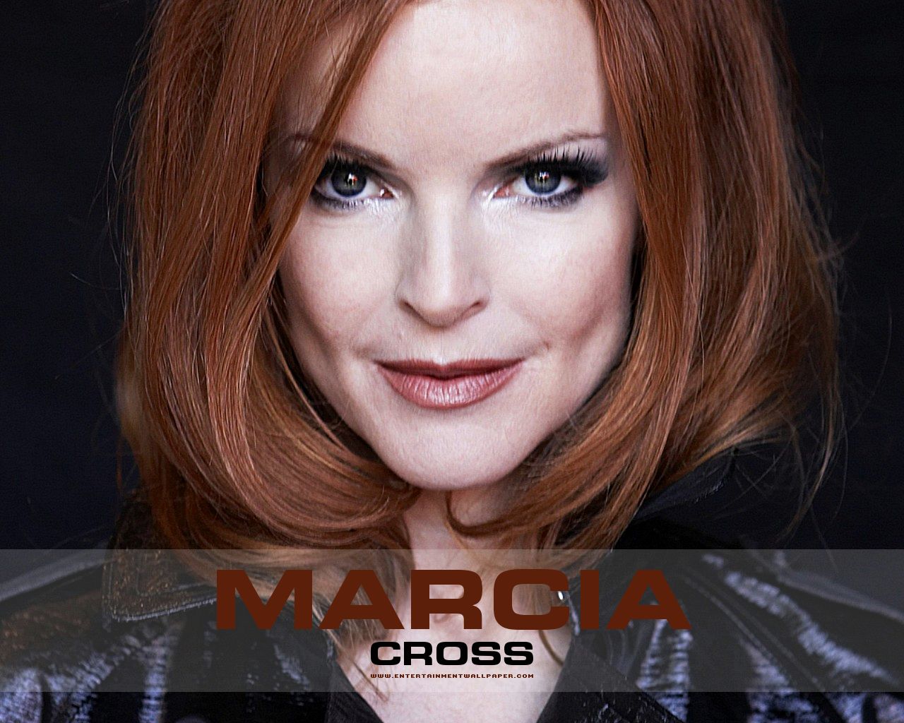 Marcia Cross - Picture