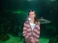 Me at the Sydney Aquarium - australia photo