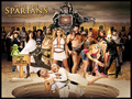 upcoming-movies - Meet the Spartans wallpaper
