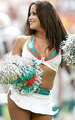 Miami - nfl-cheerleaders photo
