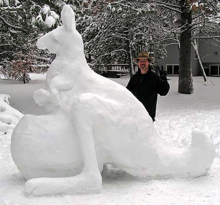  Snow kanggaru, kangaroo